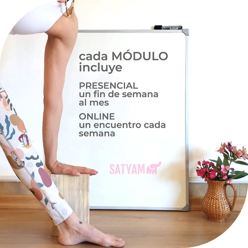 Curso de Formación de Yoga 200HS - Imagen 3